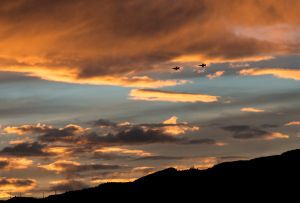 Birds of a feather: F-16s train over Aviano skies